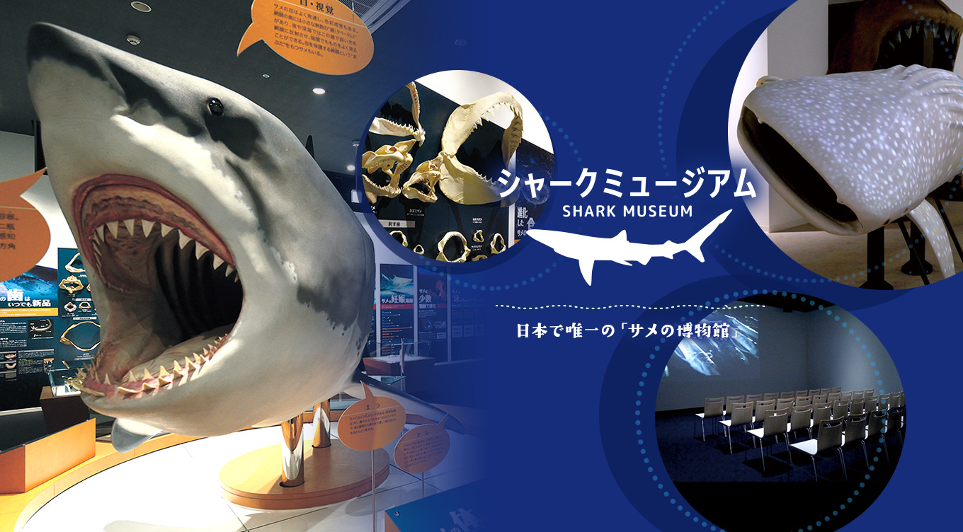 グルメ、ショッピング、そして学び 海の魅力が集まった！気仙沼のシンボルスポット