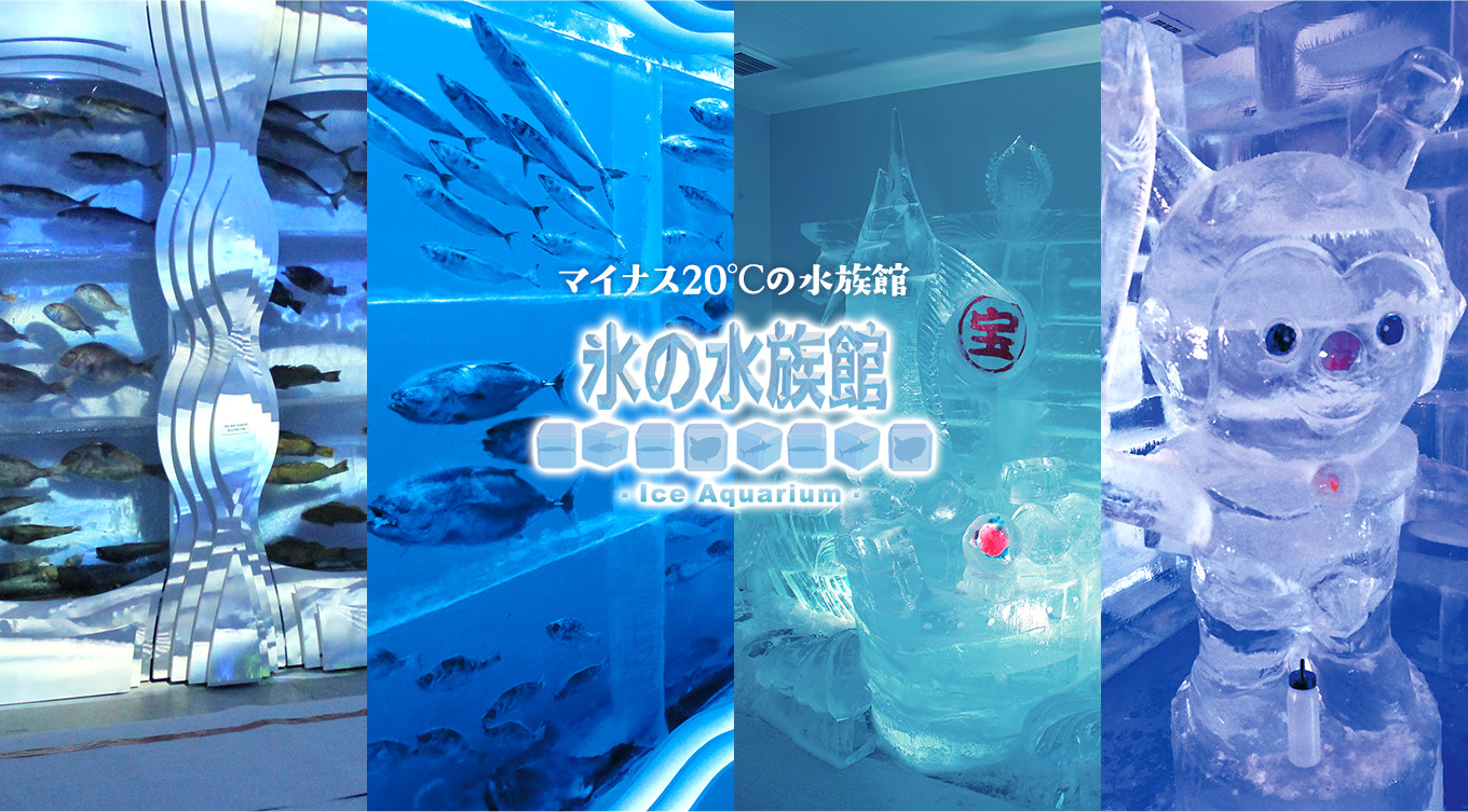 グルメ、ショッピング、そして学び 海の魅力が集まった！気仙沼のシンボルスポット
